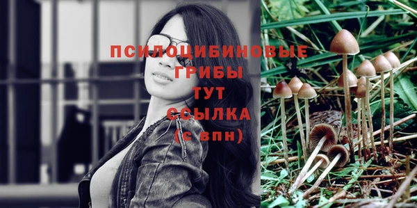 mdpv Алексеевка