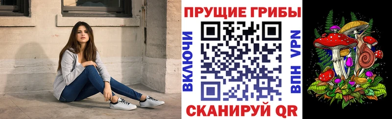 Галлюциногенные грибы Cubensis это какой сайт Бологое